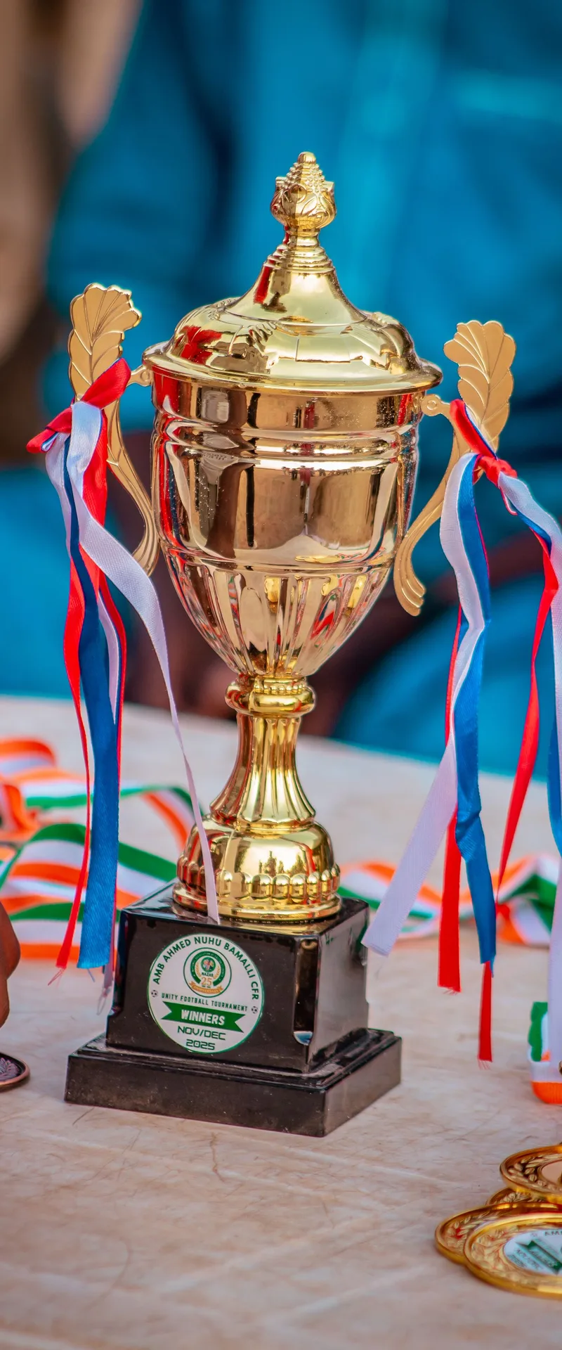 Gold award cup with ribbons and medals for school champions — 3DSchool.eu
